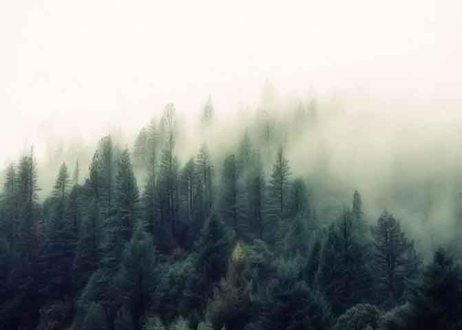 免费轰炸电话软件